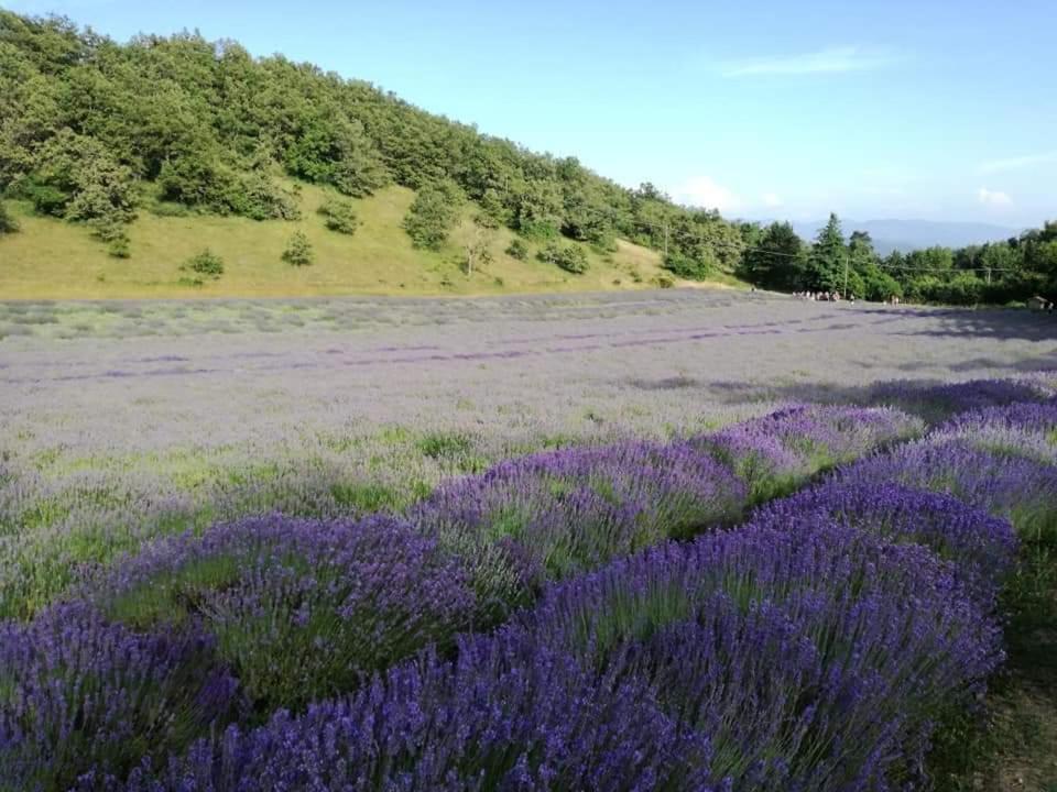 Monte San Pietro B&B I Girasoli المظهر الخارجي الصورة
